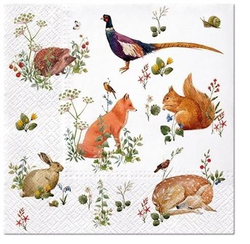 PAW-SERWETKI 33X33 CM WILD FOREST ANIMALS A'20 SDL135000