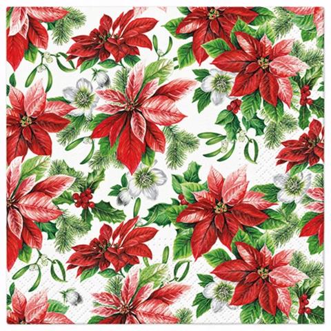 PAW-SERWETKI-BN 33X33CM GLORY POINSETTIAA'20 SDL231300