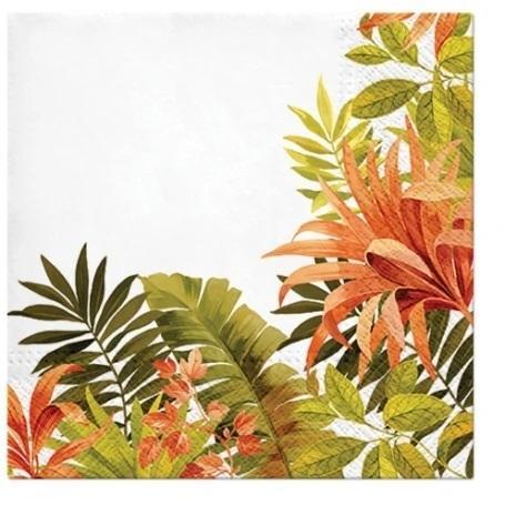 PAW-SERWETKI 33X33 CM EXOTIC FRAME A'20 SDL131200