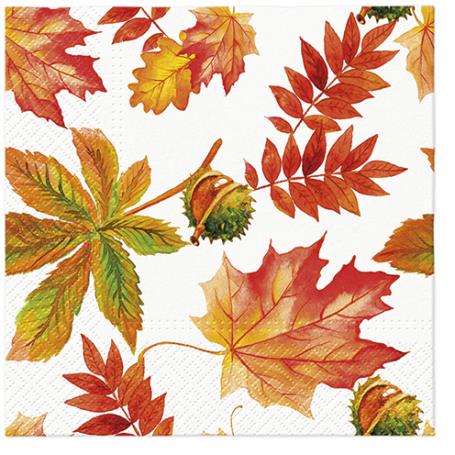 PAW-SERWETKI 33X33 CM FALL COLORS A'20 SDL136500