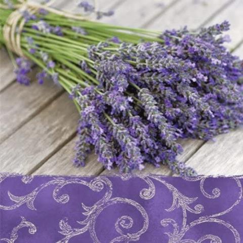 PAW-SERWETKI 33X33 CM LAVENDER IN THE COUNTRY A'20 SDL090000