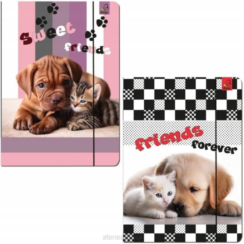 BBE-BEE TECZKA A4 Z GUMKĄ BEST FRIENDS  TA4BF5-1 /12/