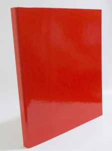 TT-SEGREGATOR A4/4 2CM CZERWONY TT6807