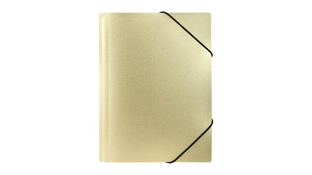 BIURFOL TECZKA A4 Z GUMKĄ PP STARDUST   GOLD TGSD-A4-01