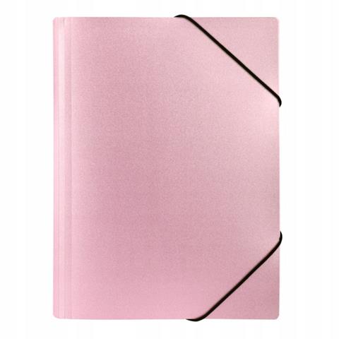 BIURFOL TECZKA A4 Z GUMKĄ PP STARDUST   PINK TGSD-A4-03