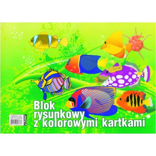 poligraf blok rysunkowy  a3 20k kolorowy/10/