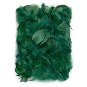 DP CRAFT PIÓRKA 5-12CM 10G CIEMNO ZIELONE