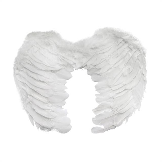 ARPEX-BN SKRZYDŁA CHERUBINA SK5619