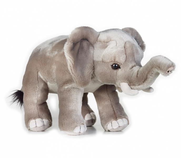 dante pluszak national geographic słoń afrykański 25 cm