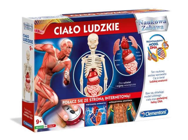 clementoni ciało ludzkie 60249