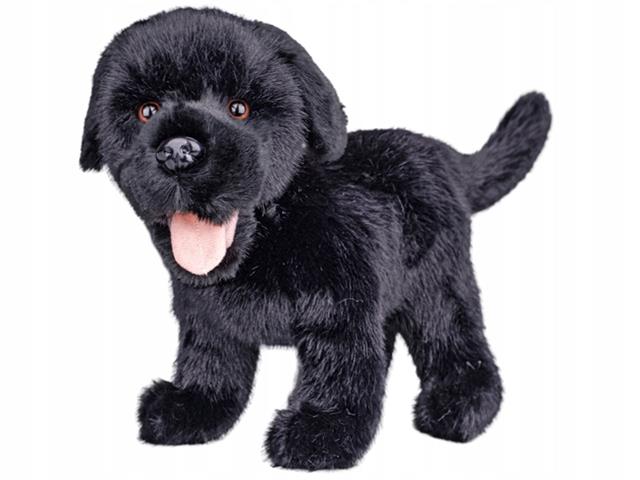 HERO PIES PLUSZOWY LABRADOR 23CM CZARNY 90455