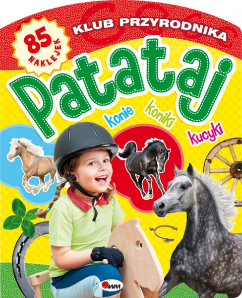 DELI-KOŁONOTES MAKARON A5 60K.,LINIA