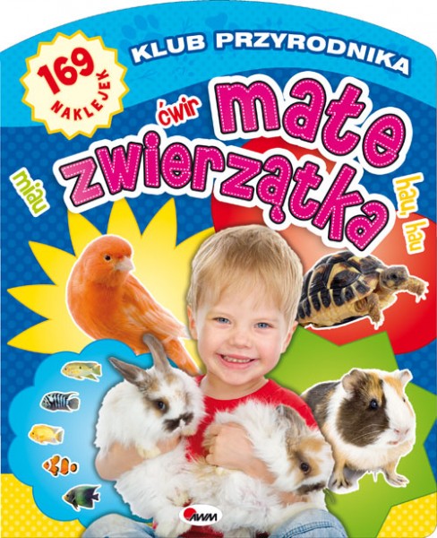 DELI-KOŁONOTES PANDA A5 60K.,LINIA