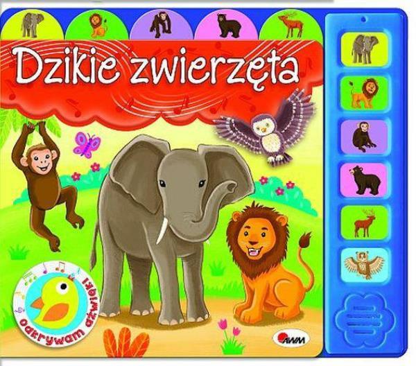 awm książeczka odkrywam dźwięki dzikie zwierzęta