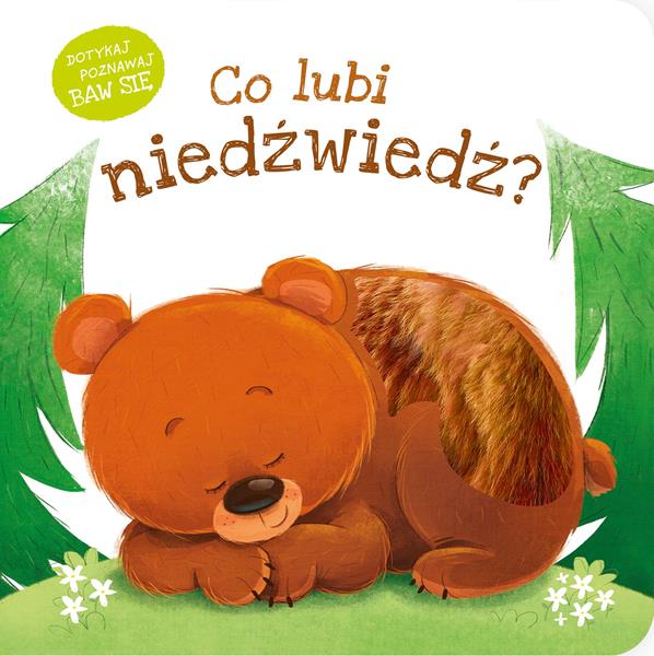 zielona sowa książeczka co lubi niedźwiedź?