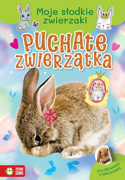 ZIELONA SOWA KOLOROWANKA MOJE SŁODKIE ZWIERZAKI PUCHATE ZWIERZĄTKA