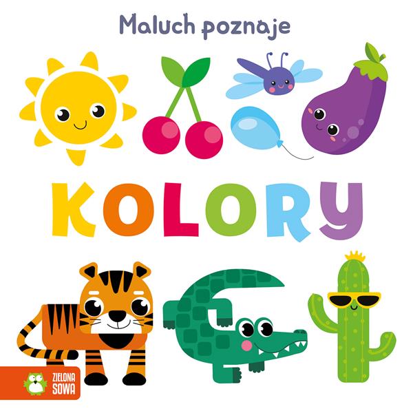 zielona sowa książeczka maluch poznaje kolory