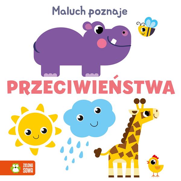 zielona sowa książeczka maluch poznaje angielskie słówka