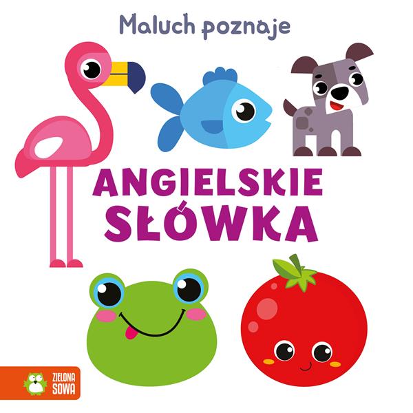 zielona sowa książeczka maluch poznaje przeciwieństwa